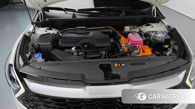 Kia Sportage 5th Generation Hybrid id 5027341 из Кореи 16