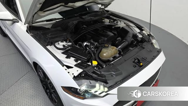 Ford Mustang id 4944211 из Кореи 16