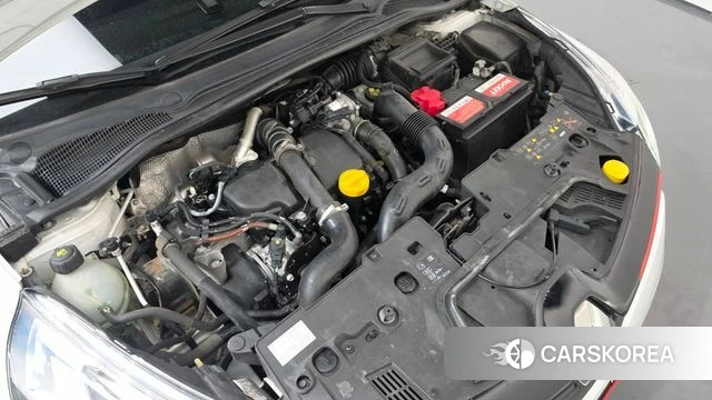 Renault Korea (Samsung) Clio id 5029420 из Кореи 26