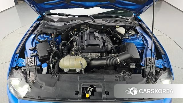Ford Mustang id 4987398 из Кореи 27