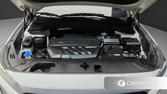 Hyundai Santa Fe TM id 5042178 из Кореи 28
