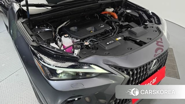 Lexus NX350h Second generation id 5011379 из Кореи 28
