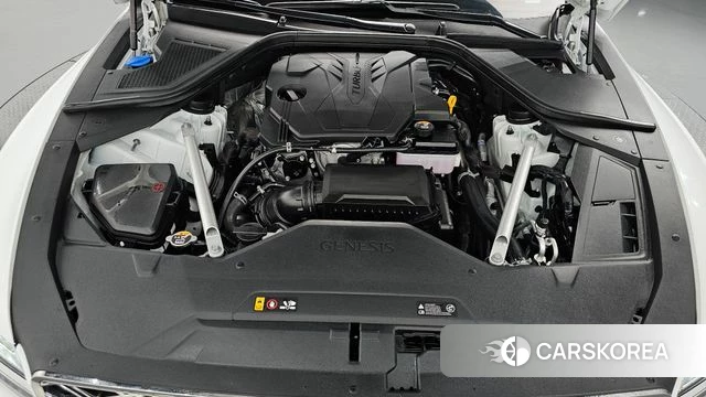 Genesis G80 (RG3) id 5020843 из Кореи 36