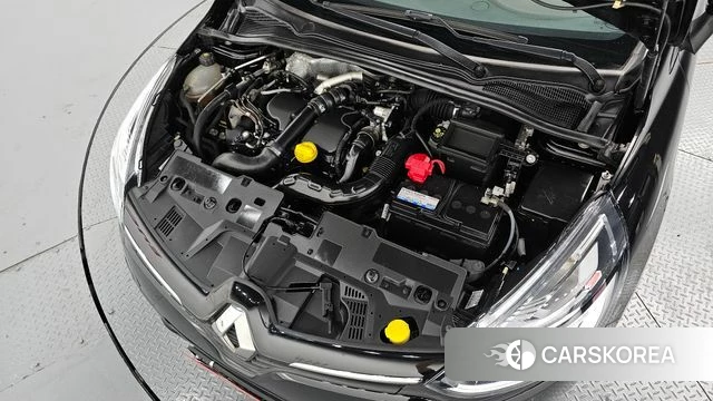 Renault Korea (Samsung) Clio id 5042055 из Кореи 16