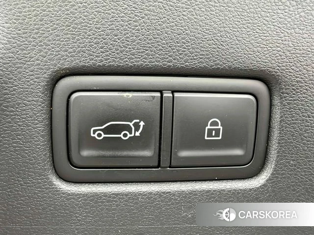 Hyundai Santa Fe (MX5) id 4990487 из Кореи 13