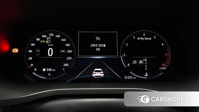 Renault Korea (Samsung) XM3 id 4977136 из Кореи 27