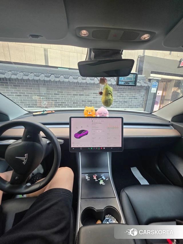 Tesla Model 3 id 4849357 из Кореи 7