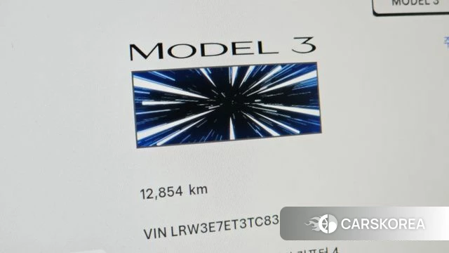 Tesla Model 3 id 4870439 из Кореи 39