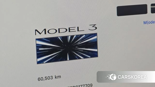 Tesla Model 3 id 5001850 из Кореи 29