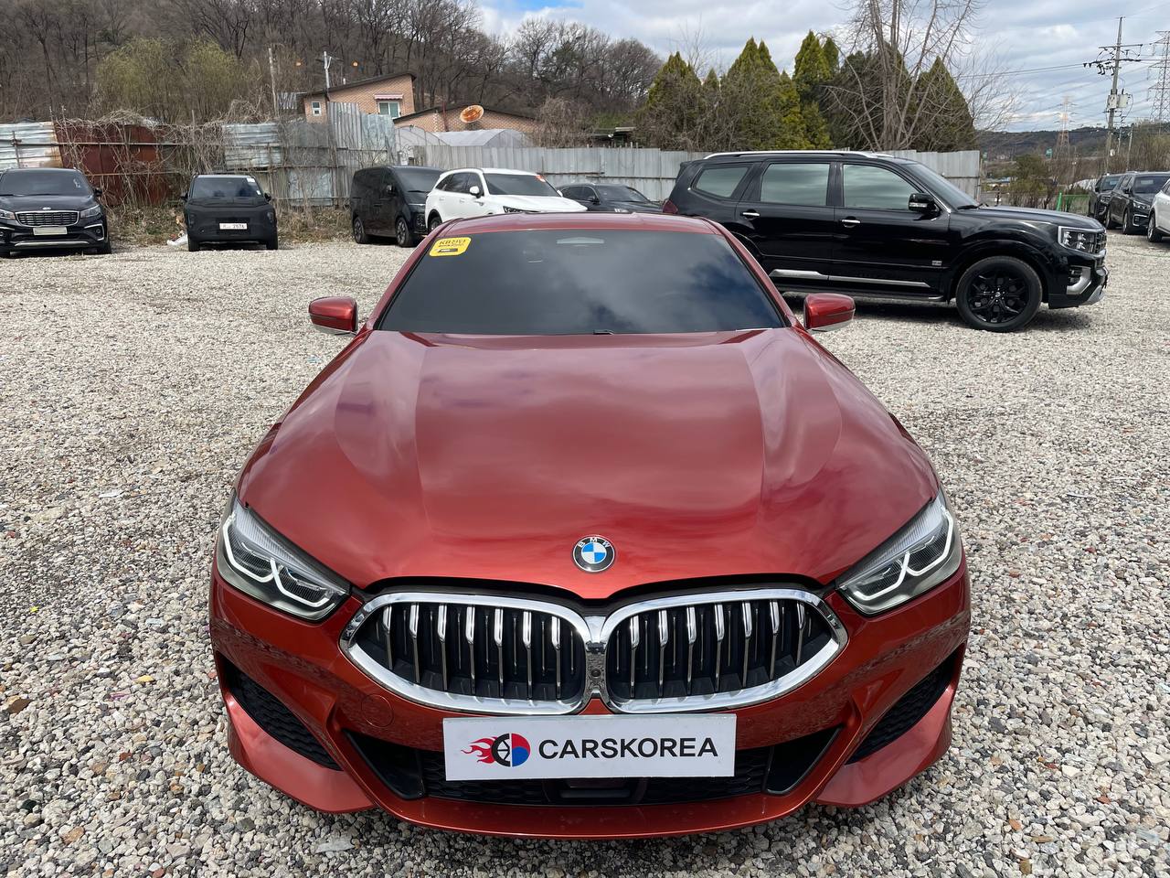 BMW 8 Series (G15) 2020 из Кореи