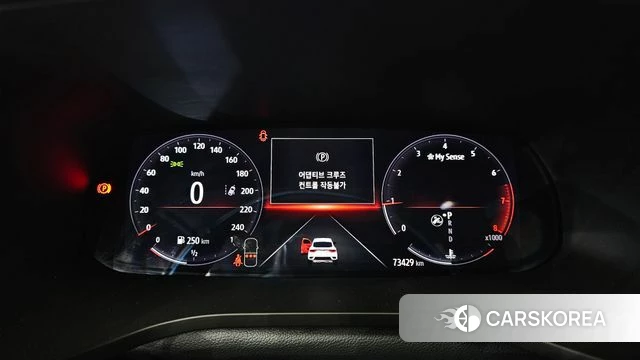 Renault Korea (Samsung) XM3 id 4998100 из Кореи 29