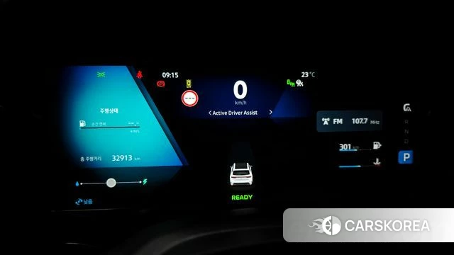 Renault Korea (Samsung) Grand Coleos id 4928292 из Кореи 31