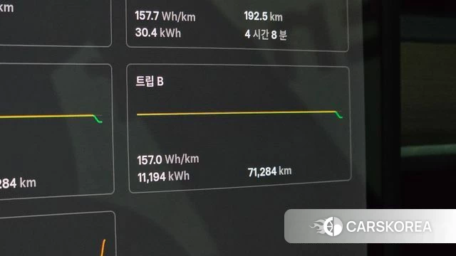 Tesla Model 3 id 4666303 из Кореи 28