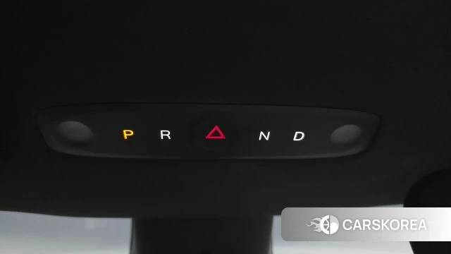 Tesla Model Y id 5001417 из Кореи 33
