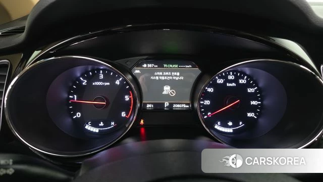 Kia The New Carnival id 4937052 из Кореи 18