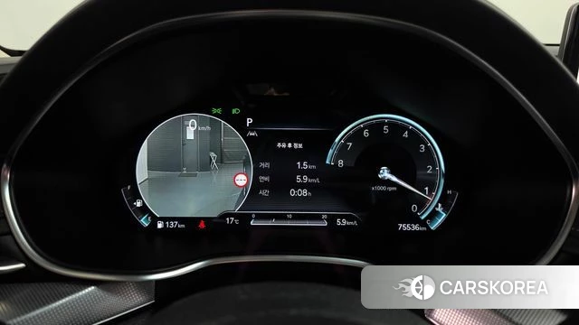 Genesis G80 (RG3) id 5017033 из Кореи 32