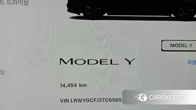 Tesla Model Y id 5038740 из Кореи 30