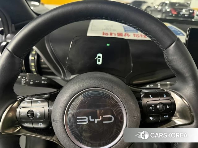BYD Ato 3 id 5026170 из Кореи 18