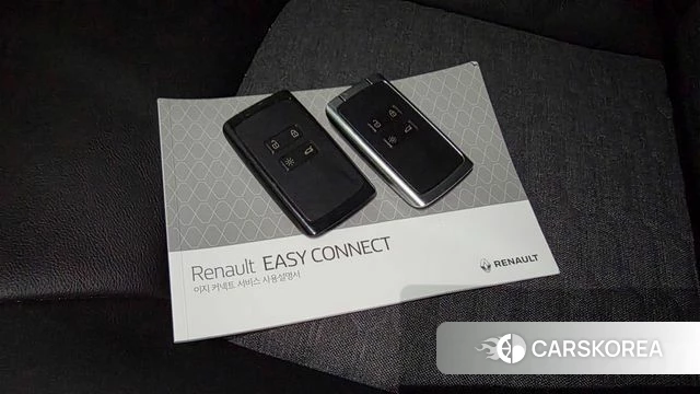 Renault Korea (Samsung) Joe id 5003444 из Кореи 19