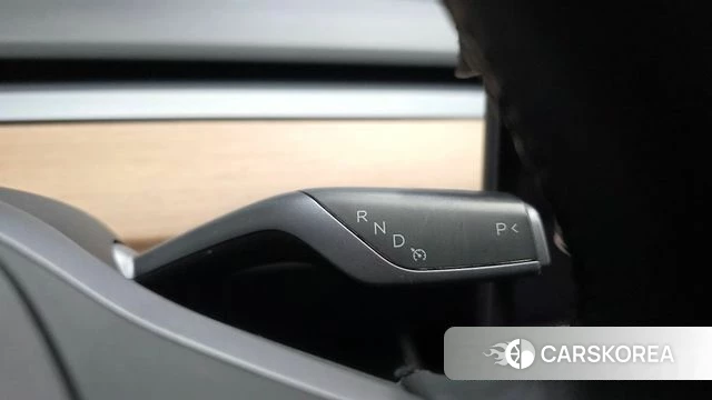 Tesla Model 3 id 5003832 из Кореи 29