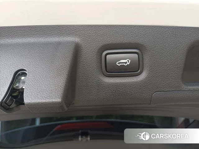 Hyundai Santa Fe TM id 5023419 из Кореи 19