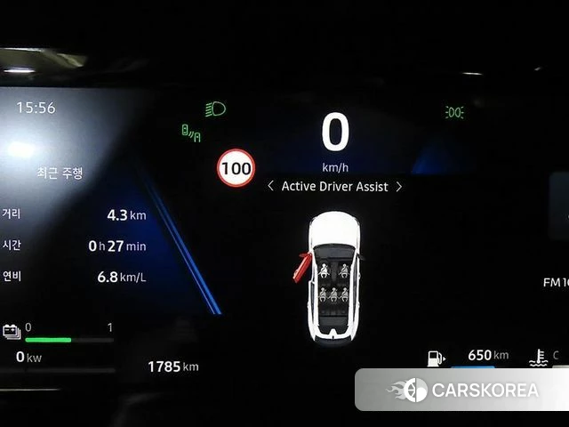 Renault Korea (Samsung) Filant id 5025865 из Кореи 19
