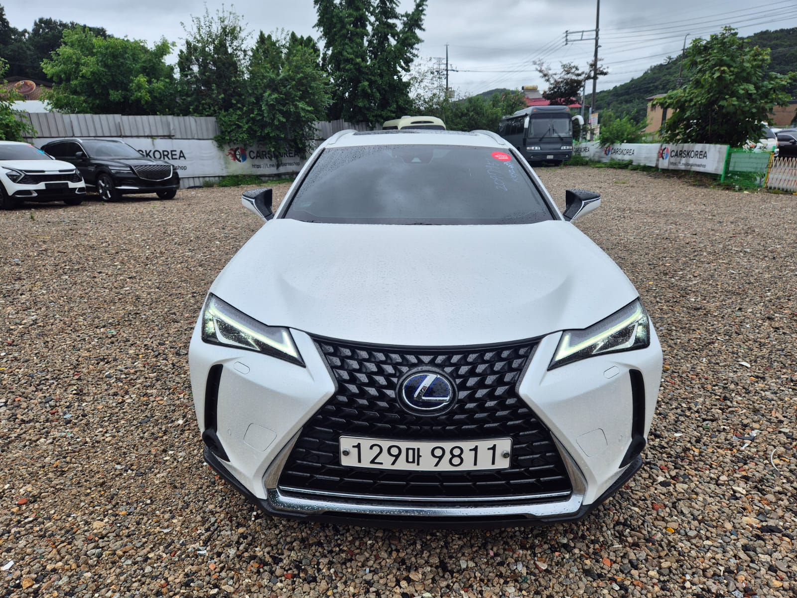Lexus UX250h 2021 из Кореи