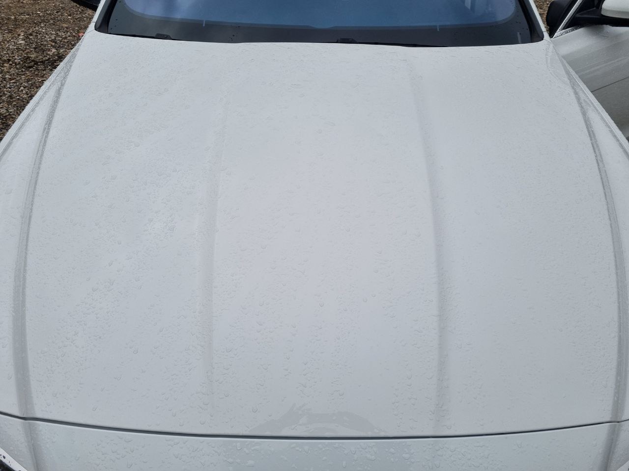 Jaguar XF (X260) 2020 из Кореи, фото 39