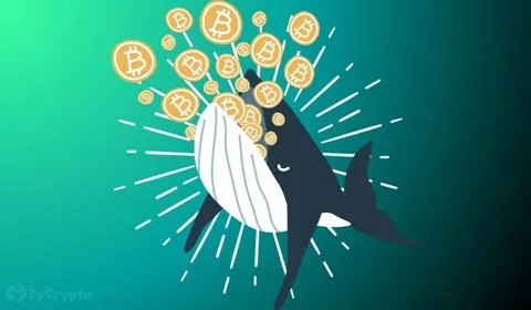 Крупные держатели биткоина снижают продажи, Vanguard вложился в Metaplanet