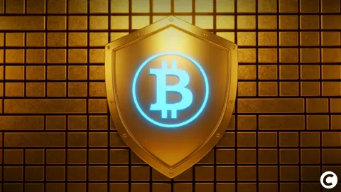Что такое полунейтральные стратегии на крипторынке и чем они отличаются от buy and hold