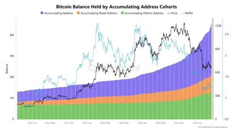 Долгосрочные держатели накопили 4,37 млн BTC. Бычий сигнал для рынка
