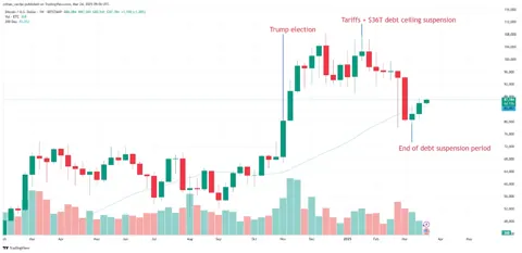 Почему Биткоин может взлететь до $110 000 раньше, чем упадет до $76 500
