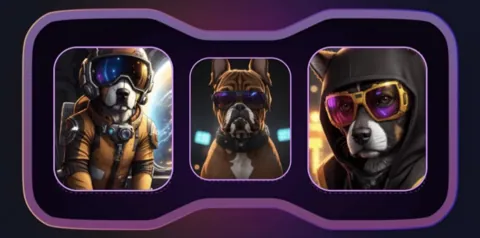 Комбо в Not Bored Puppies на 28 ноября