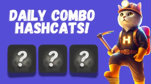 Комбо дня в тапалке Hashcats 12-13 ноября