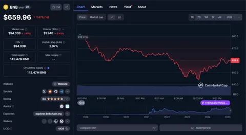 Влияние Чанпэна Чжао на Binance  и BNB вызывает споры среди криптоэнтузиастов