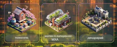 Комбо City Holder на 12 Июня