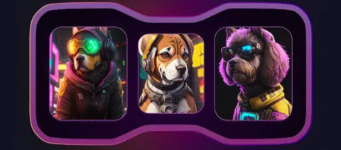 Комбо в Not Bored Puppies на 8 Января