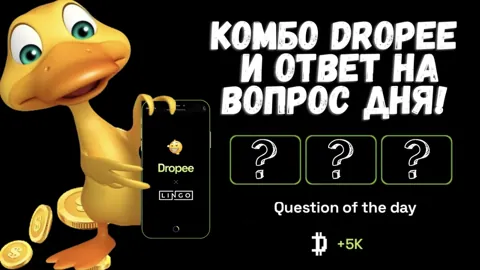 Новое комбо Dropee и ответ на вопрос дня 2 декабря