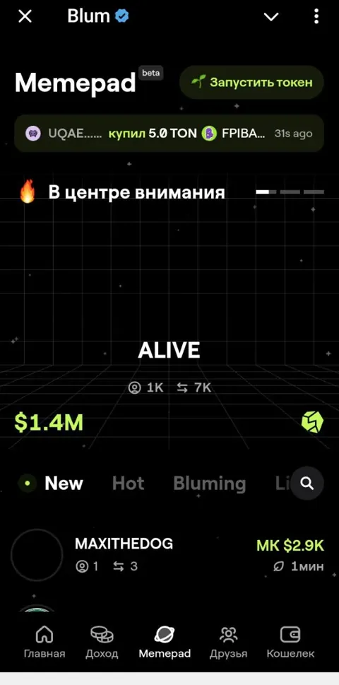 Обзор Memepad Blum: что такое Мемепад в Блум, можно ли заработать на выпуске своих мемтокенов, отзывы пользователей