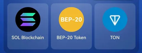 В игре Tapcoins представляются новые карточки для выполнения комбо дейлика на 11 ноября