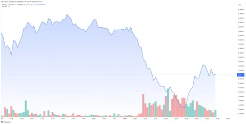 Биткоин упал ниже $75 000 из-за паники на мировых рынках