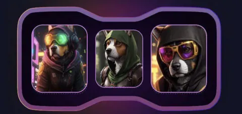 Комбо для Not Bored Puppies на 16 ноября