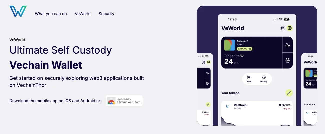 veworld-website