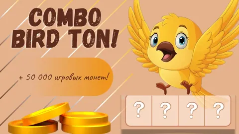 Обновление Комбо Bird Ton 23 Декабря