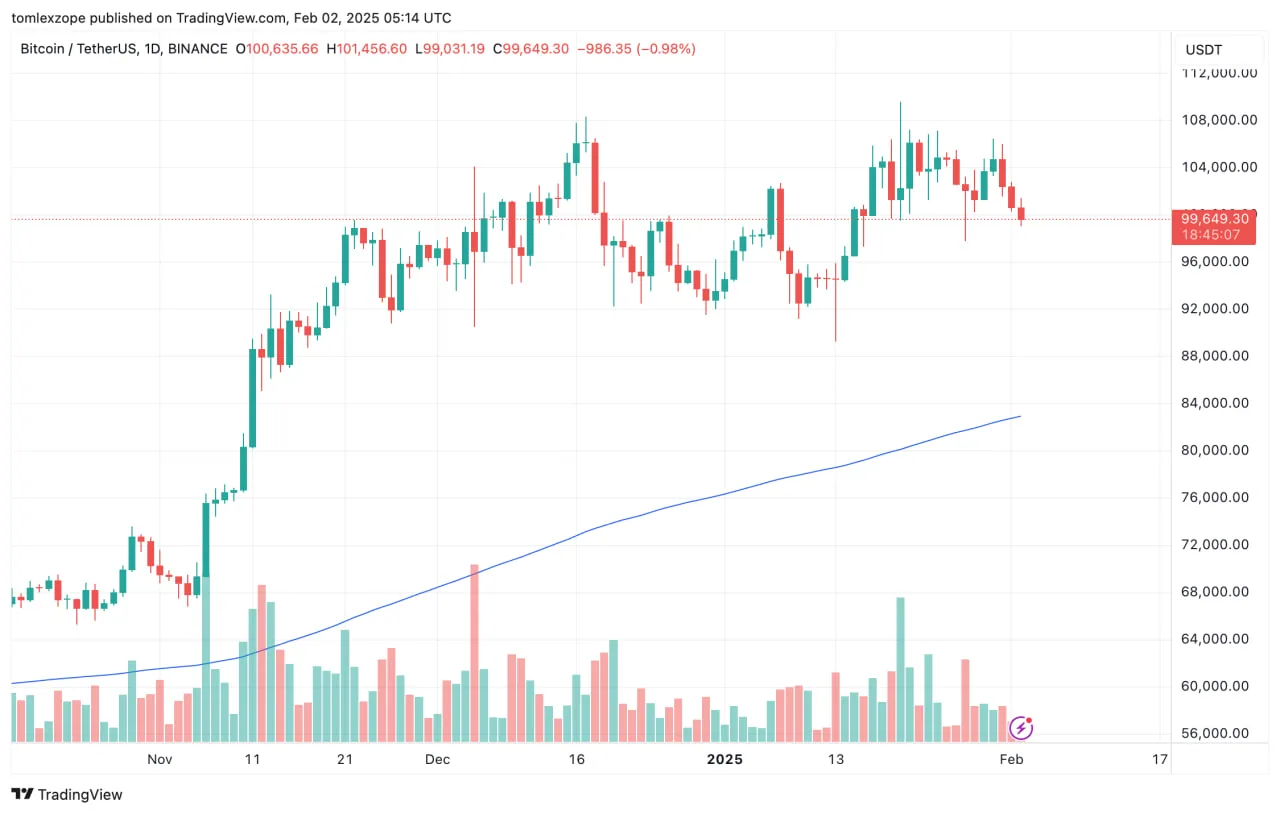 Биткоин пробил поддержку: медвежий флаг указывает на снижение