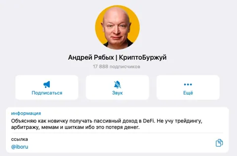 Андрей Рябых: отзывы, обзор деятельности, чем занимается проект Интернет Буржуй