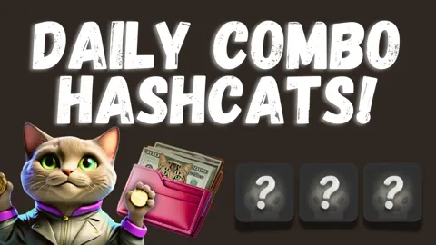 Комбо Дня в Тапалке Hashcats 26 Декабря
