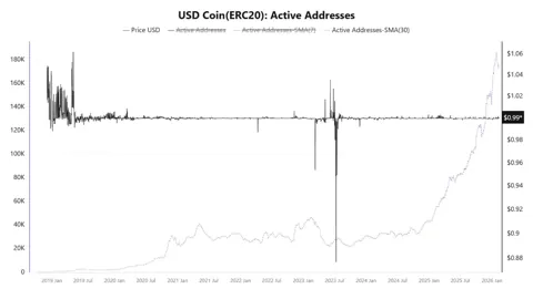 Активность USDC обновила рекорд на фоне коррекции рынка