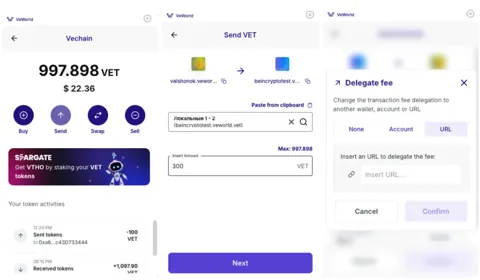 Обзор VeWorld: как VeChain делает Web3 проще с помощью VeBetter