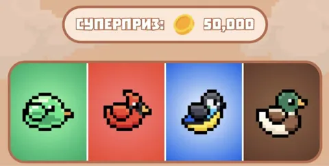 Обновление комбо Bird Ton 3 ноября